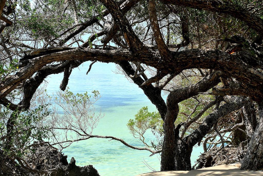 แซนซิบาร์ ร็อค รีสอร์ท Hotel Zanzibar ห้อง รูปภาพ